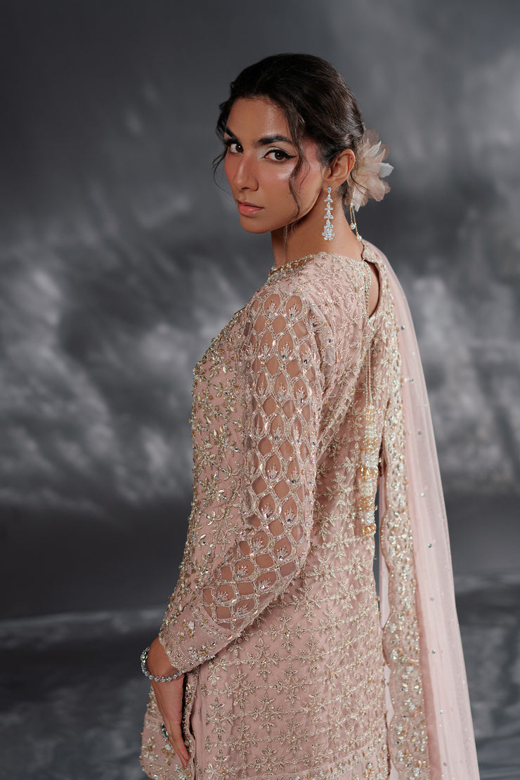 Spring Rose Gharara Set (D-04)