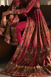 Fuchsia Kalidar Peshwas (D-05)