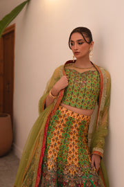 Multi Kali Lehnga Choli (D-06)