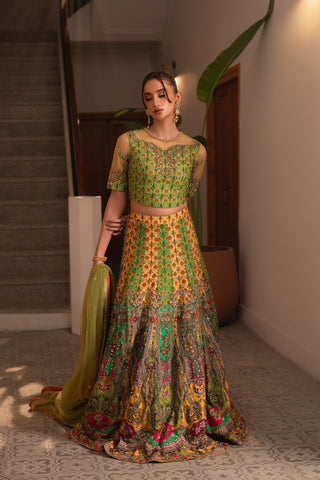 Multi Kali Lehnga Choli (D-06)