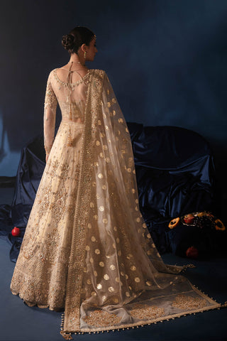 Nikkah Bridal Ivory (D-13)