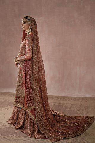 Classic Red and Gold Farshi Gharara Bridal (D-03)