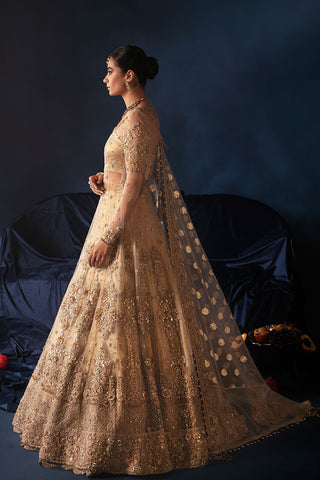 Nikkah Bridal Ivory (D-13)