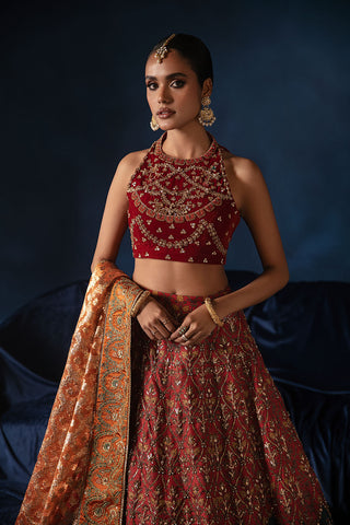 Classic Lehnga Choli (D-14)