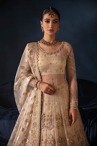 Nikkah Bridal Ivory (D-13)